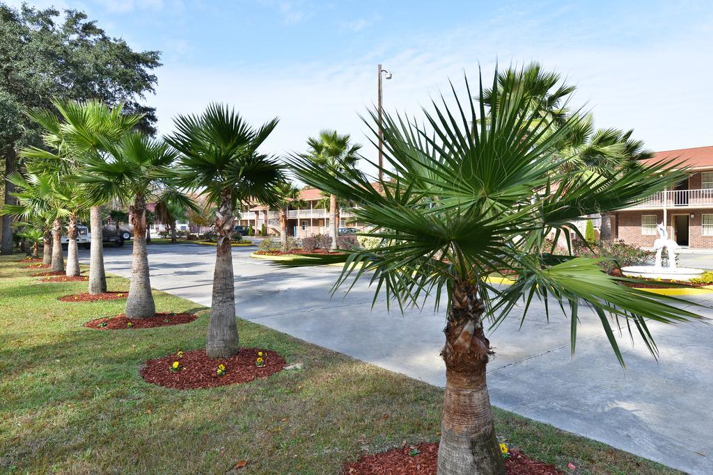 Savannah Inn And Suites Savannah Port Area Ανέσεις φωτογραφία